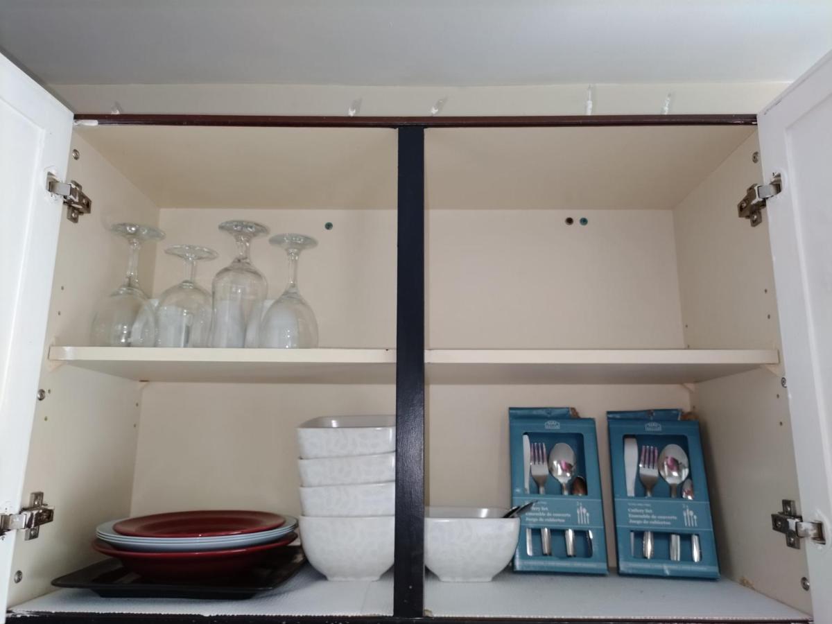 Cozy Downtown Two Bedrooms Free Parking Κίνγκστον Εξωτερικό φωτογραφία