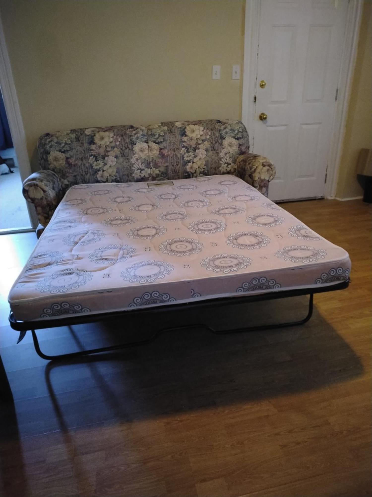Cozy Downtown Two Bedrooms Free Parking Κίνγκστον Εξωτερικό φωτογραφία